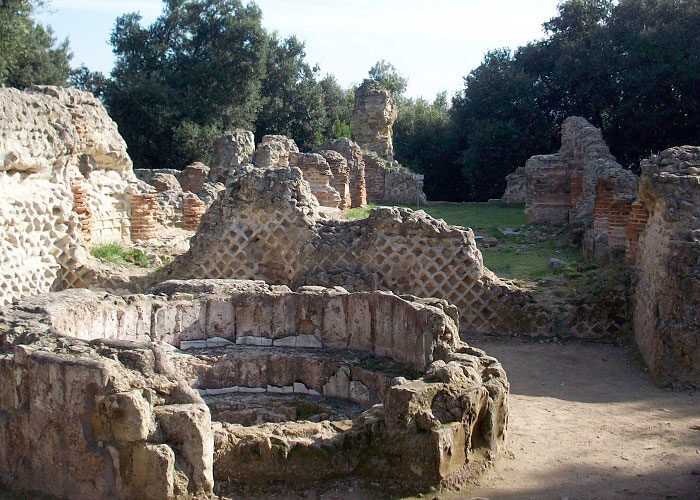 tour campi flegrei e vigneti